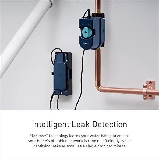 Moen Flo 1 in. Residential Leak Detector