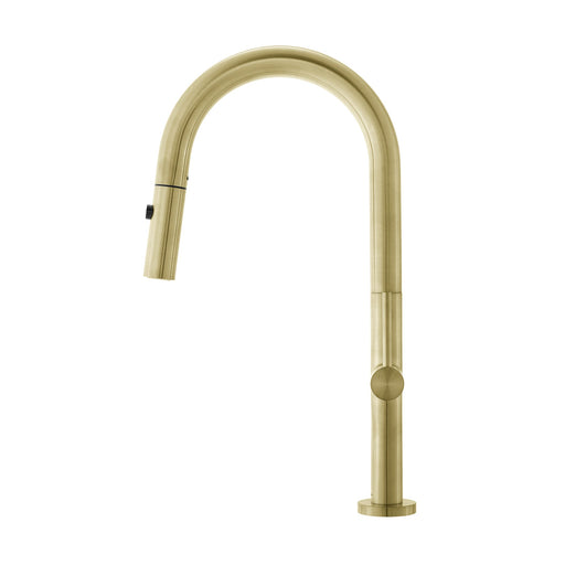 Chalet Single Handle, Pull-Down Kitchen Faucet in Brushed Gold