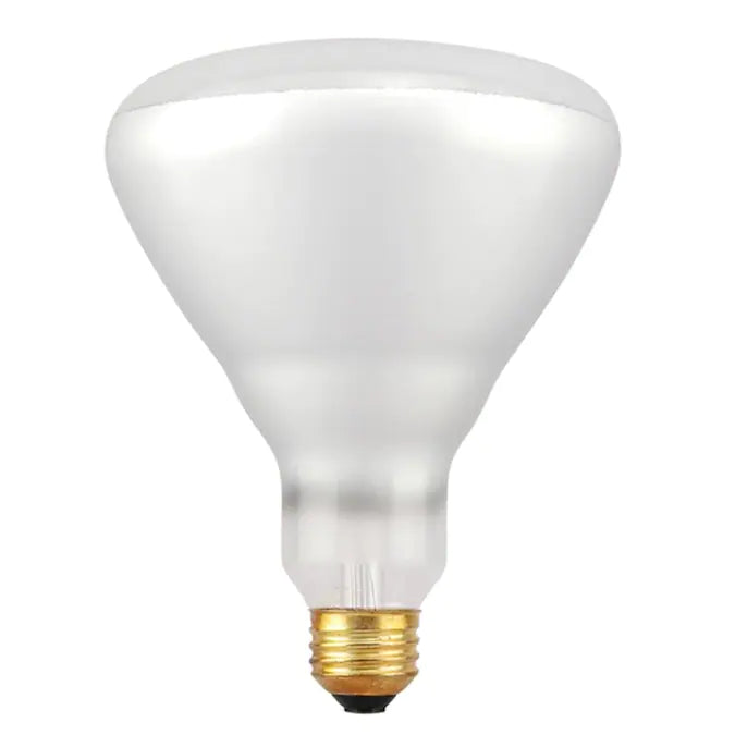 SYLVANIA 100-Watt EQ BR40 Dimmable Warm White Reflector Flood Halogen Light Bulb