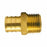 WATTS WaterPEX 3/4" Barb x 1/2" MPT Male adapter brass. Model P-711