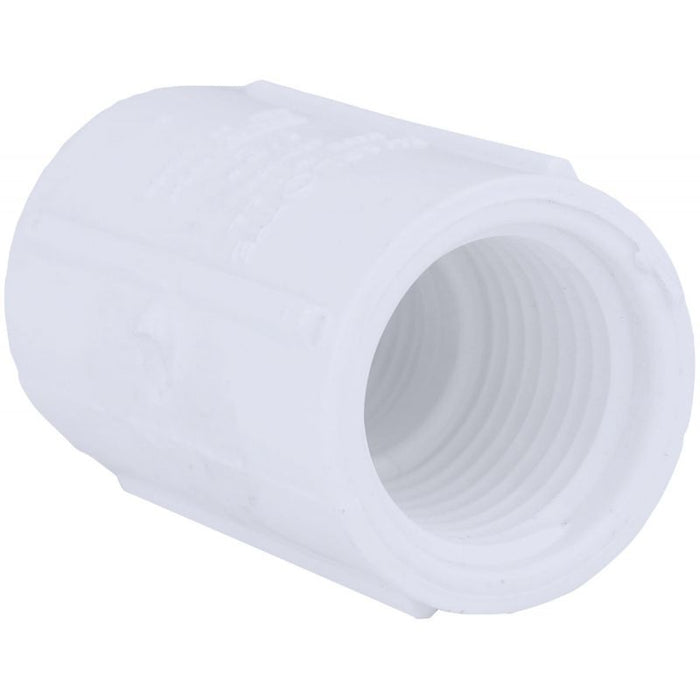 1/2 In. IP - Charlotte Pipe Schedule 40 Threaded PVC Coupling